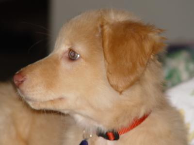 Thirteen Weeks Old